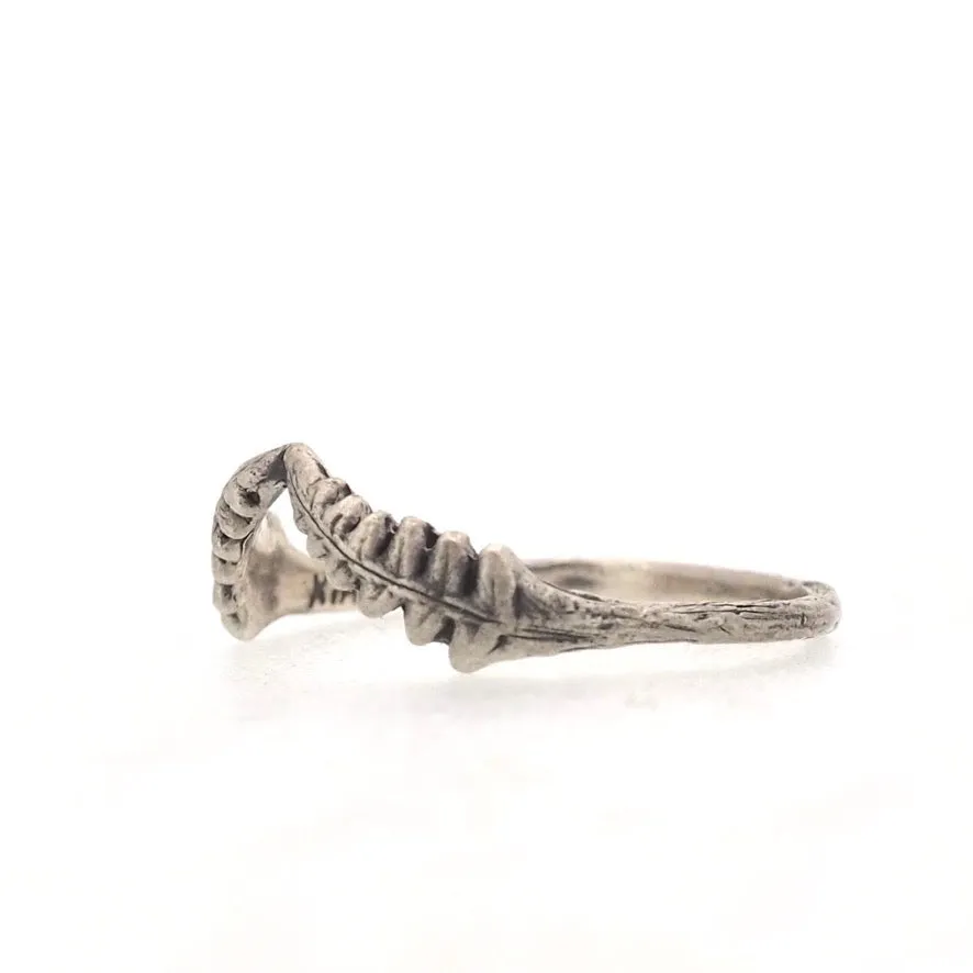 Lady fern ring silver